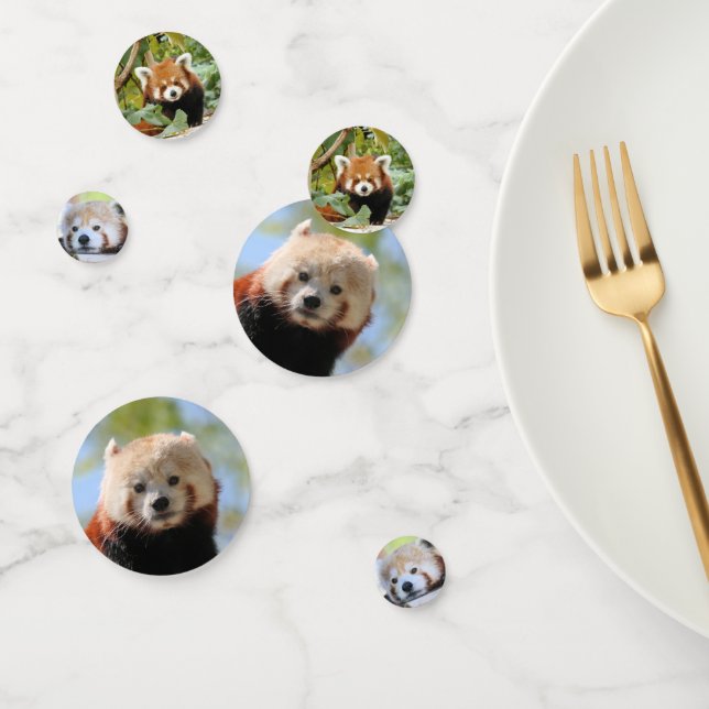 Red Panda Confetti (Group)