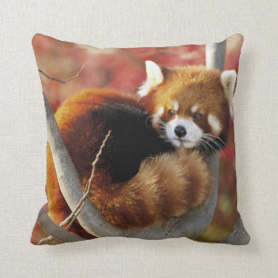 Red Panda Cushion
