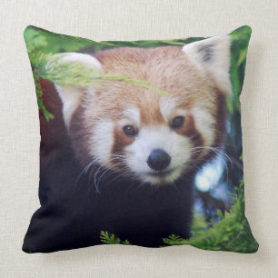 Red Panda Cushion
