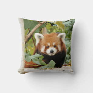 Red Panda Cushion