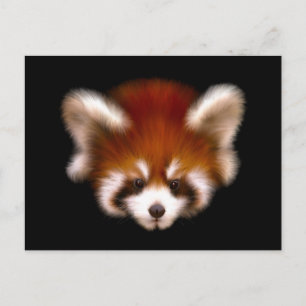 Red Panda Design Postcard