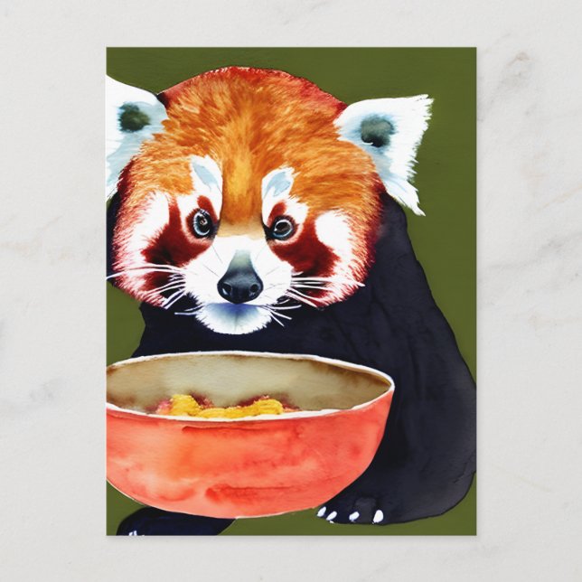 Red Panda Eating Postcard (Front)