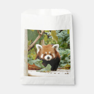 Red Panda Favour Bags