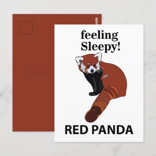 Red Panda Feeling Sleepy Funny Red Panda Postcard