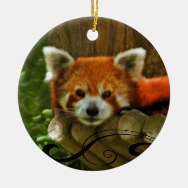 Red Panda Holiday Christmas Ornament (Front)