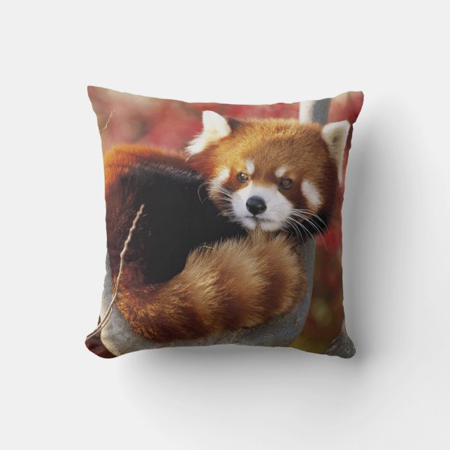 Red Panda In a Tree Throw Pillow (Front)