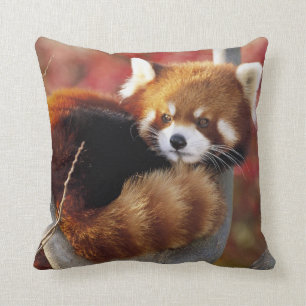 Red Panda In a Tree Throw Pillow