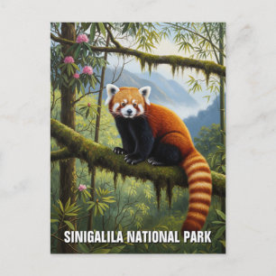 Red Panda in Singalila National Park Travel Postcard
