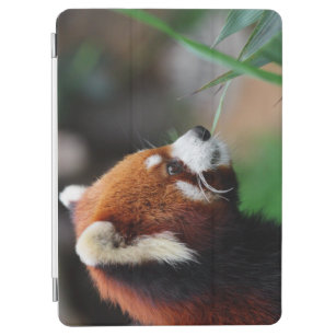 Red panda iPad air cover