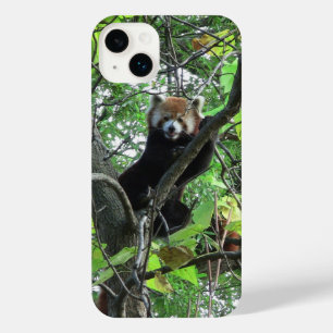 Red Panda iPhone Case