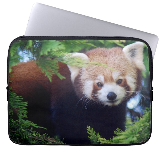 Red Panda Laptop Sleeve (Front)