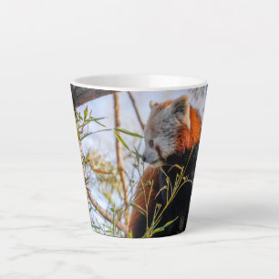 Red panda latte mug
