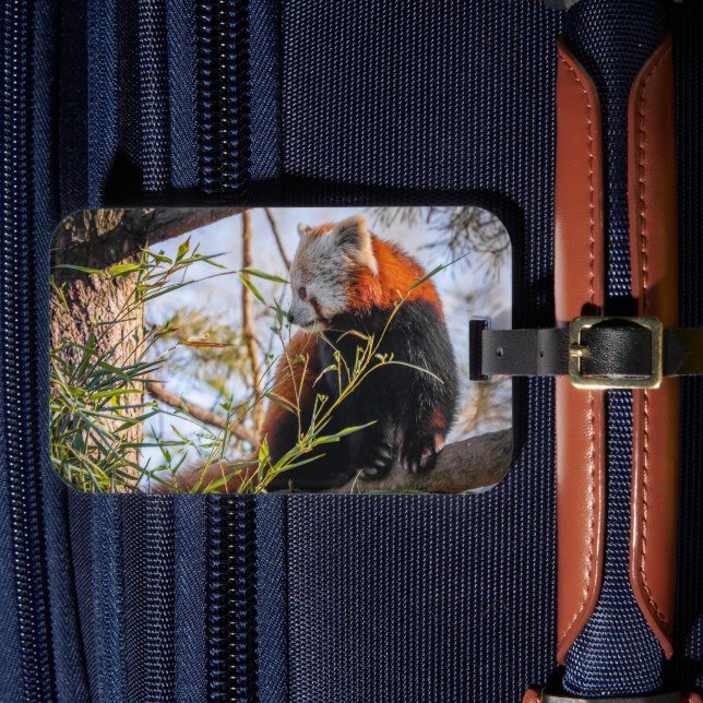 Red panda luggage tag (Front Insitu 4)