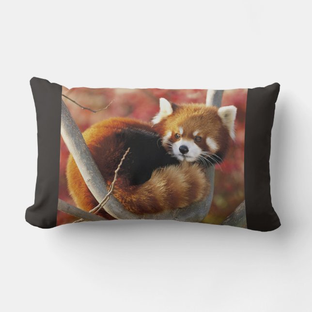 Red Panda Lumbar Cushion (Front)