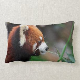 Red panda lumbar cushion