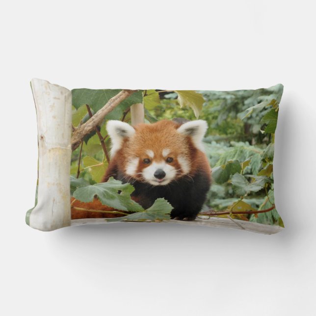Red Panda Lumbar Cushion (Front)
