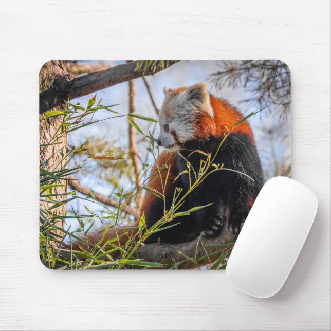Red panda mouse pad (With Mouse)