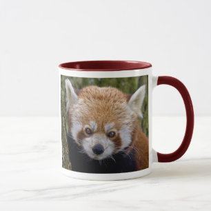 Red Panda Mug