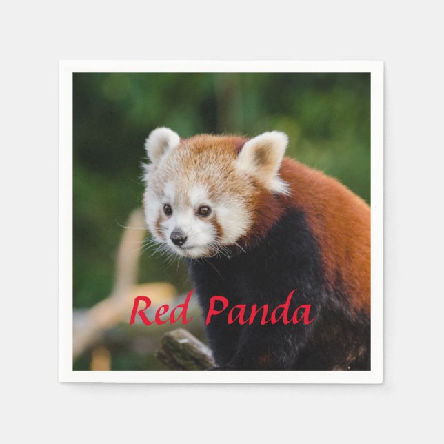 Red Panda Napkin (Front)