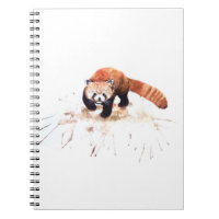 RED PANDA
