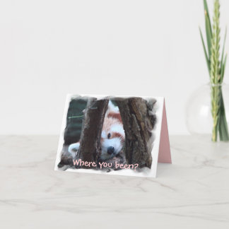 Red Panda notecard: "Where you been? I miss you!" Card