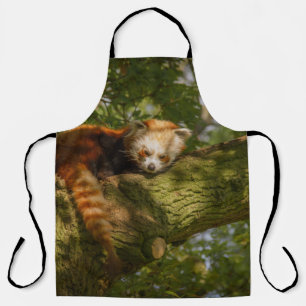 RED PANDA ON GREEN TREE BRANCH APRON