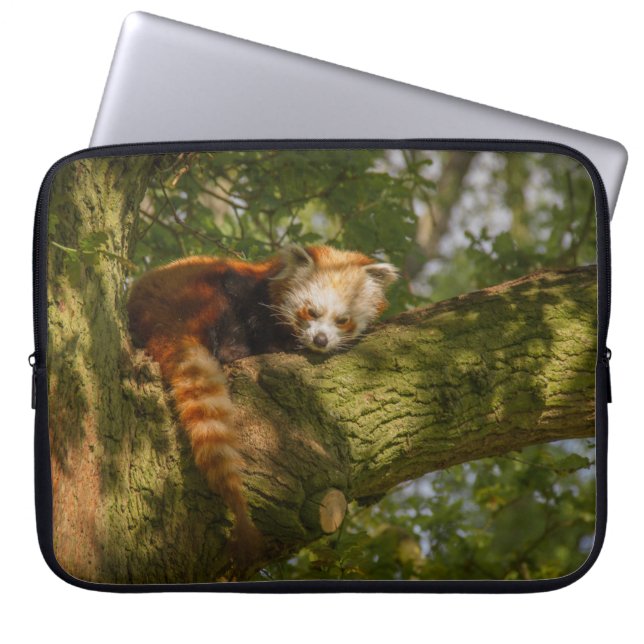 RED PANDA ON GREEN TREE BRANCH LAPTOP SLEEVE (Front)