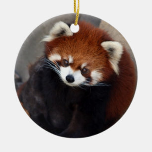 Red Panda Ornament