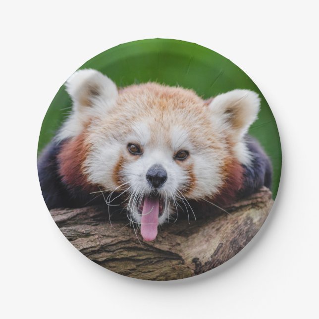 Red Panda Paper Plate (Front)