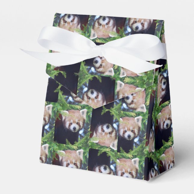 Red Panda Pattern Favour Box (Front Side)