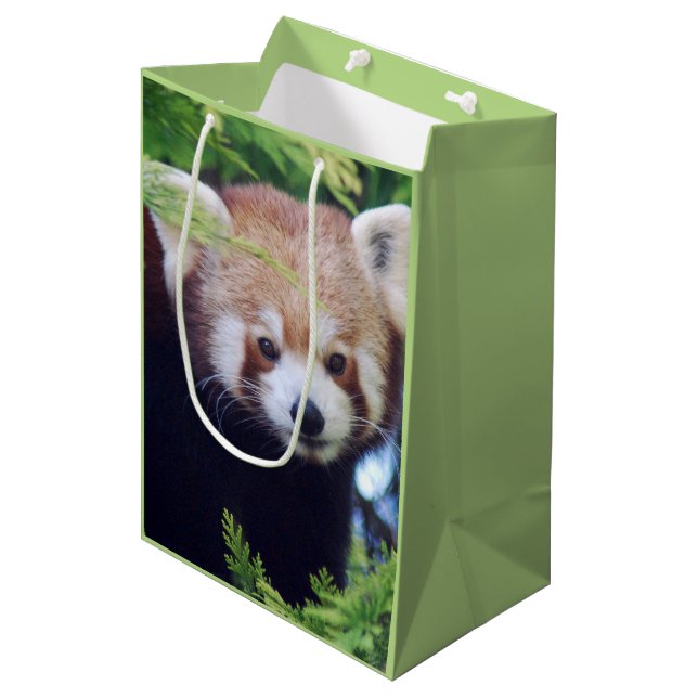 Red Panda Pattern Medium Gift Bag (Front Angled)