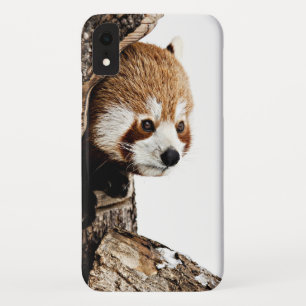 Red panda peeking out from a tree trunk Case-Mate iPhone case