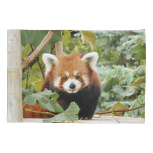 Red Panda Pillowcase