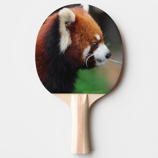 Red panda ping pong paddle (Front)
