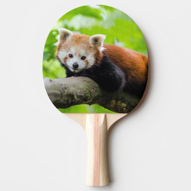 Red Panda Ping Pong Paddle (Front)