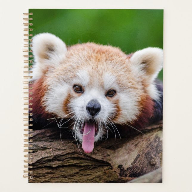 Red Panda Planner (Front)