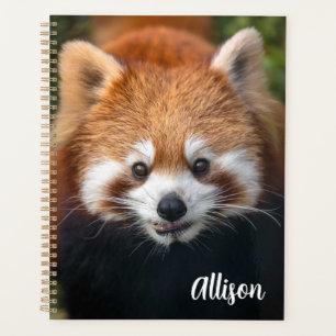Red Panda Planner