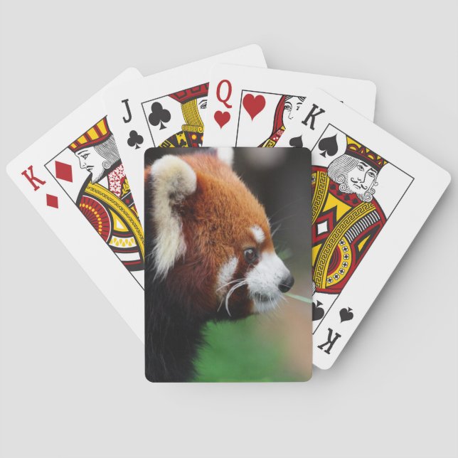 Red panda playing cards (Back)