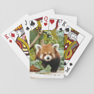Red Panda Playing Cards