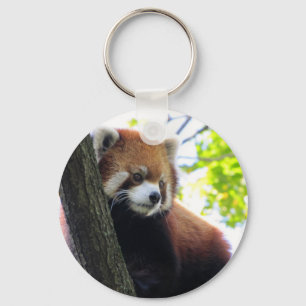 Red Panda Portrait Key Ring