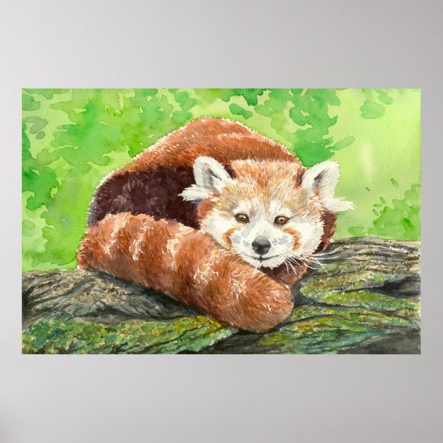 Red panda poster (Front)