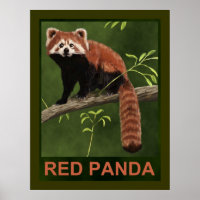 Red Panda