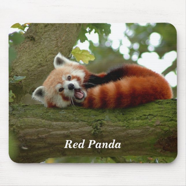 Red Panda resting Mouse Pad (Front)