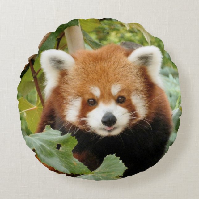 Red Panda Round Cushion (Front)