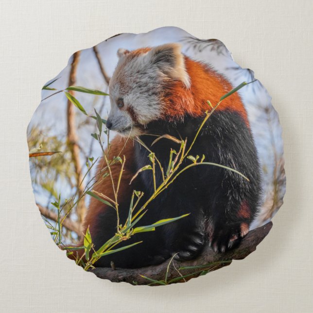 Red panda round pillow (Back)