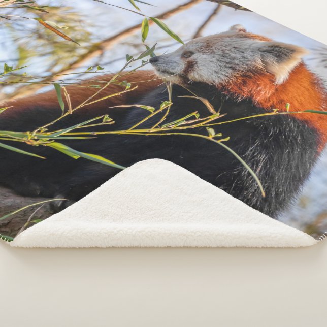 Red panda sherpa blanket (3/4)