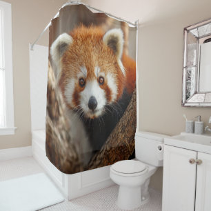 Red Panda Shower Curtain