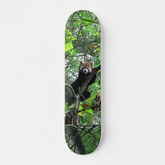 Red Panda Skateboard (Front)