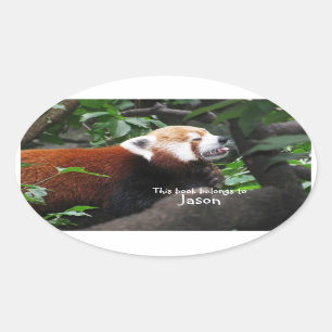 Red Panda sticking its tongue out Oval Sticker