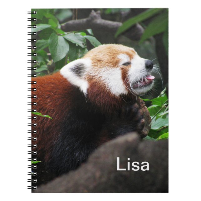 Red Panda sticking its tongue out Spiral Notebook (Front)